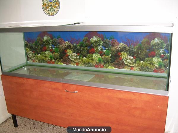 acuario 600 L