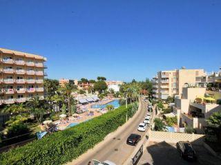 Estudio en alquiler en Palmanova, Mallorca (Balearic Islands)