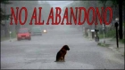 RECOJO PERROS - mejor precio | unprecio.es