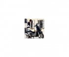 PIAGGIO BEVERLY 250 CRUISSER - mejor precio | unprecio.es