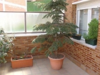 Casa en Manresa - mejor precio | unprecio.es
