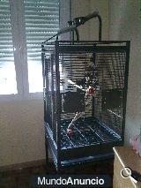 vendo jaula  finca gym top II para loros