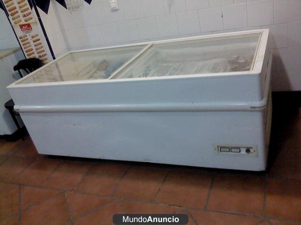 Expositor congelados - cámara frigorífica