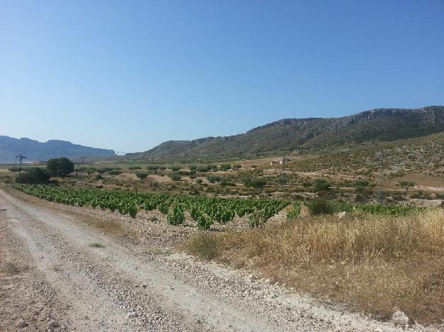 Campo en Venta. 66 Hectáreas. Terreno agricola 66ha. En Jumilla Murcia.