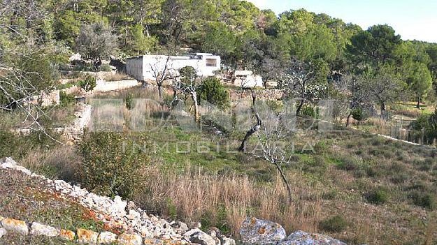 Finca rústica en Sant Carles de Peralta