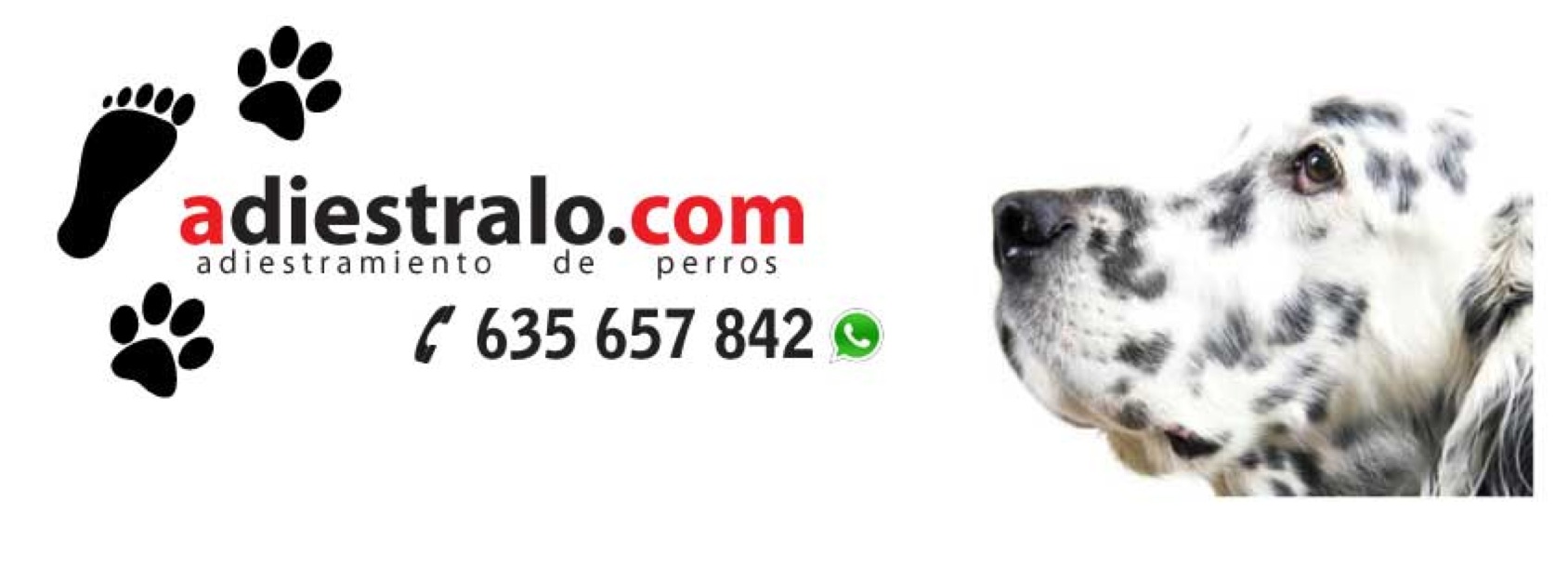 Adiestraminto canino. Adiestralo.com