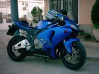 HONDA CBR 600RR AÑO 2005 5000 Km - mejor precio | unprecio.es