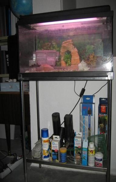 VENDO ACUARIO DE 60 LITROS + MESA DE ACERO INOXIDABLE Y OBSEQUIO CON OTRO ACUARIO-TERRARIO