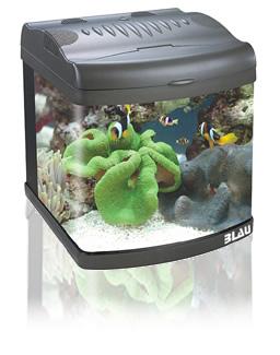 Nano acuario blau 50l filtro luz kit