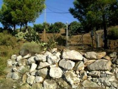 Terreno se vende en Cutar, Axarquia