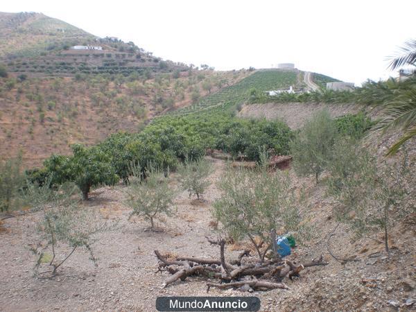 finca en Itrabo