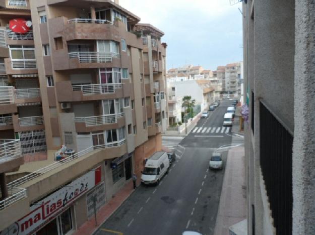 Estudio en Torrevieja