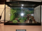 Vendo Acuario 20 litros - mejor precio | unprecio.es