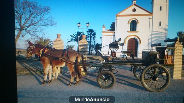 alquiler de carro con mulos