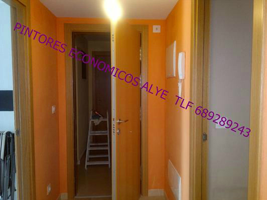 pintores economicos alye 689 289 243