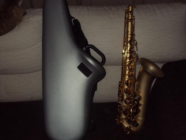 Casi regalo mi saxofon tenor Borgani Pearl gold