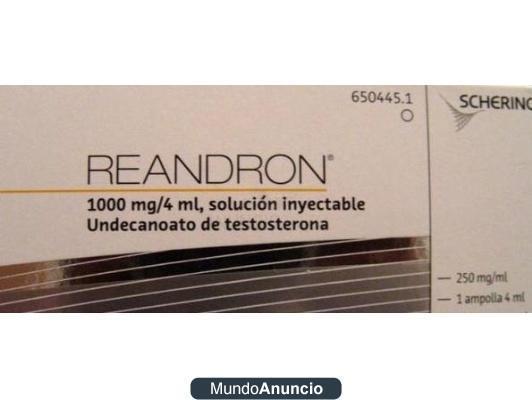 undecanoato de testosterona REANDRON -