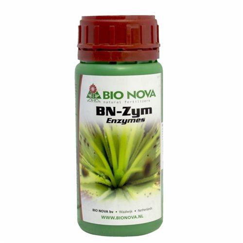 BN-Zym (mezcla de enzimas)
