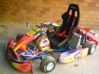 KART CON MOTOR KAWASAKI 2T 250CC 50CV - mejor precio | unprecio.es