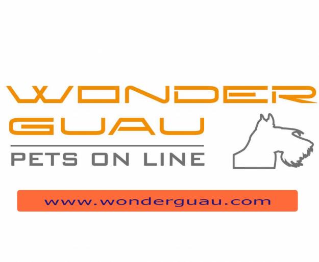 Collares de adiestramiento Wonderguau