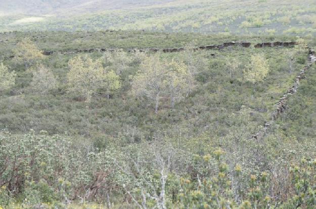 Finca rústica en Campillo de Ranas