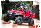 rzr 800 - mejor precio | unprecio.es