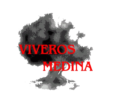viveros de olivo Medina