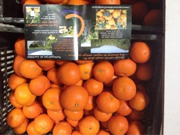 Naranjas riquísimas y económicos