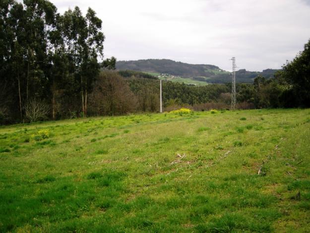 CAMBIO O PERMUTO finca edificable en concejo de Pravia Asturias