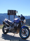 HONDA, CB 900F HORNET - mejor precio | unprecio.es