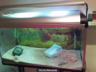 vendo acuario completo - mejor precio | unprecio.es