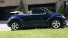 Volkswagen Beetle 1.6l - mejor precio | unprecio.es