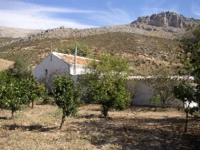 Chalet con 6 dormitorios se vende en Valle de Abdalajis