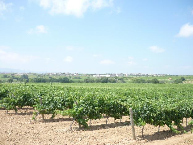 Masía en Vilafranca del Penedès