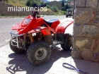 QUADS 50cc INFANTIL del 2007 - mejor precio | unprecio.es