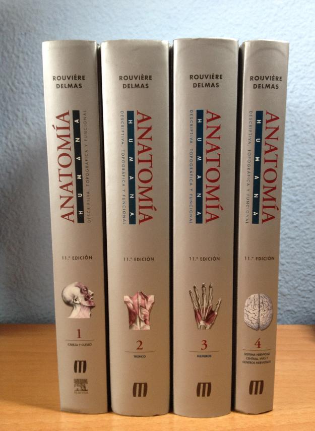 Pack 4 libros de anatomía (Rouviere 11ª ed) NUEVOS