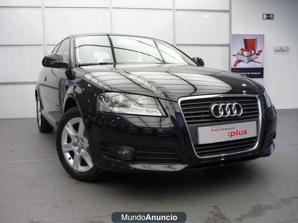 Audi A3 1.6 TDI Attraction 105CV
