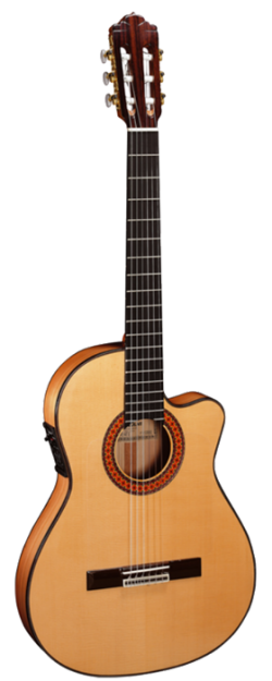 Cambio guitarra almansa 447tb estrecha