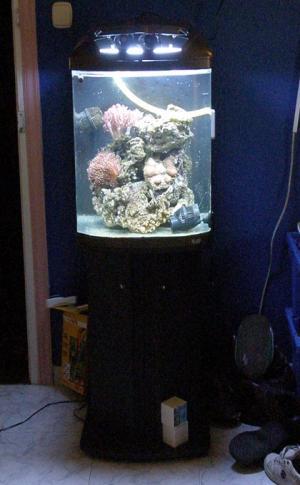 Vendo Acuario marino completo de 130 litros+ acuario de 60 litros dulce o SUM.