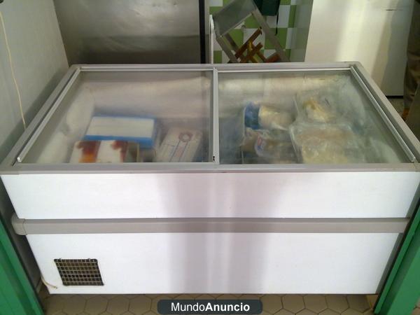 VENDO MOSTRADOR Y VITRINA PARA PESCADERIA POR JUBILACION 830 €.