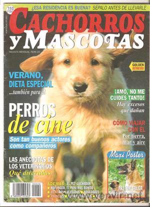 Revista Cachorros y Mascotas nº 29 ( pastores belgas )