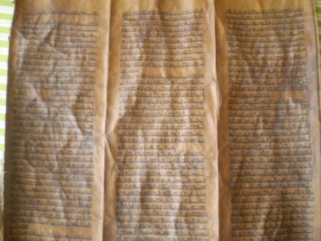pergamino en piel de ciervo, hoja de biblia S.XVI