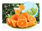 Se venden Naranjas - mejor precio | unprecio.es