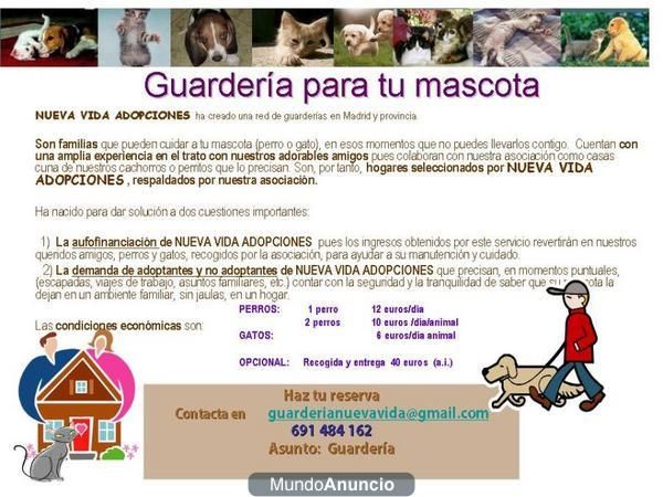 -NUEVA VIDA ADOPCIONES:    CUIDA DE TU MASCOTA-