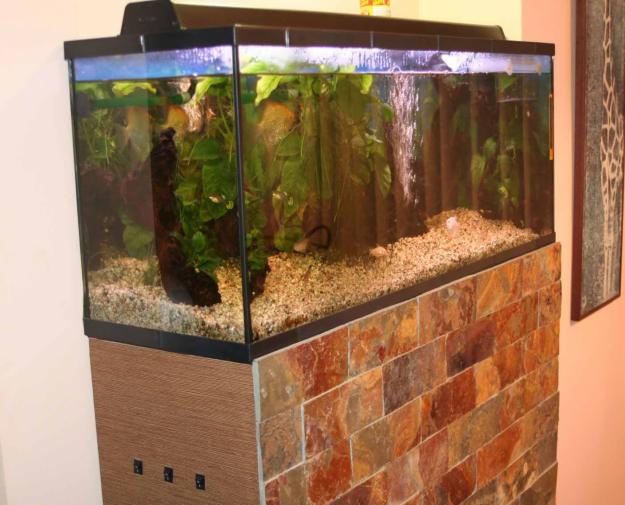 Acuario Alicante