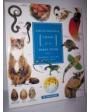 Enciclopedia visual de los seres vivos (Tomo II). Mamíferos, reptiles, aves y peces