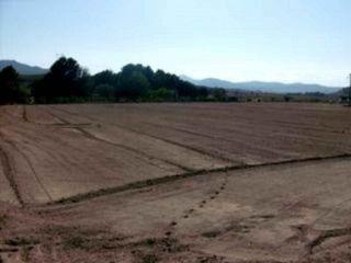 Terreno/Finca Rstica en venta en Sax, Alicante (Costa Blanca)