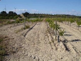 Finca/Casa Rural en venta en Gandesa, Tarragona (Costa Dorada)