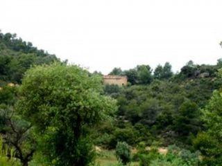 Finca/Casa Rural en venta en Palma d'Ebre (La), Tarragona (Costa Dorada)