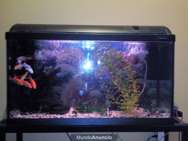 Se vende acuario